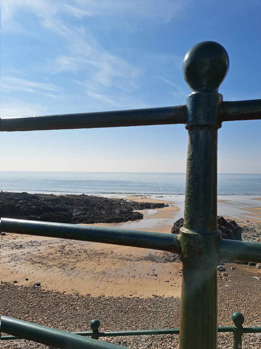 Tracy Rees tweet media