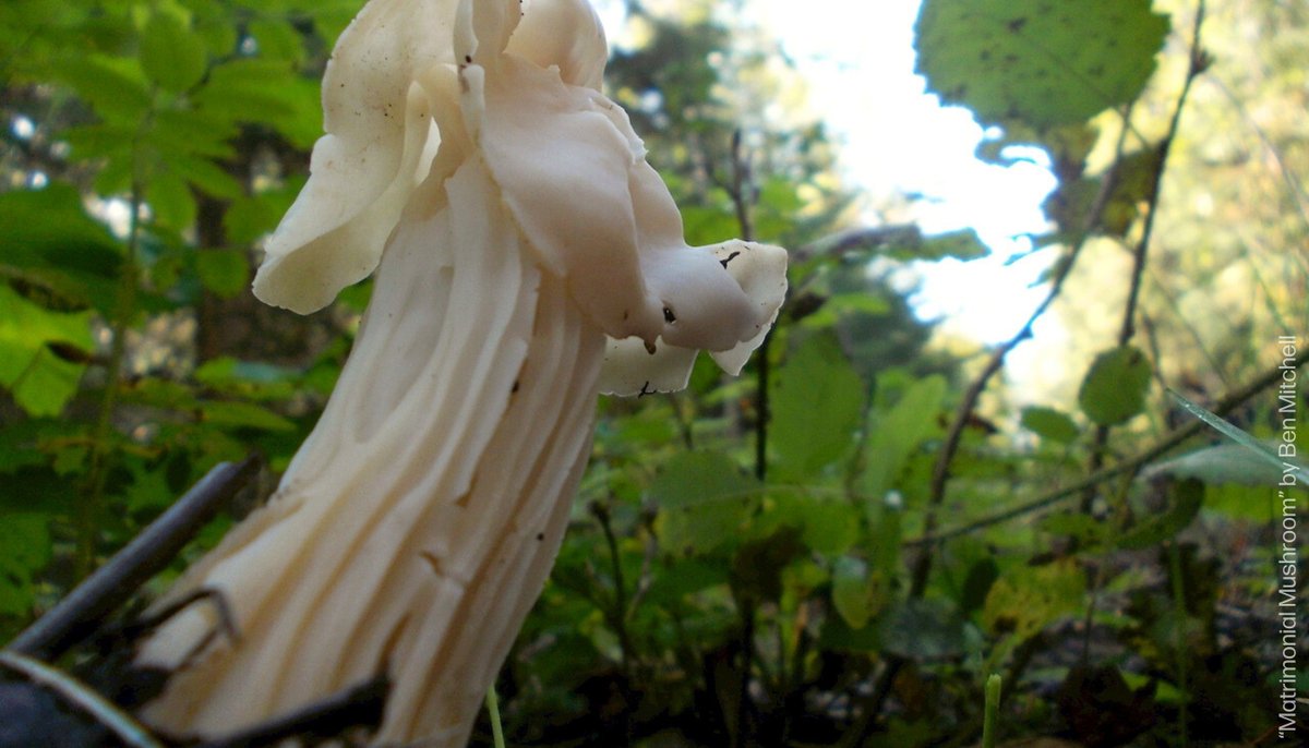 The Roberta Bondar Foundation tweet media