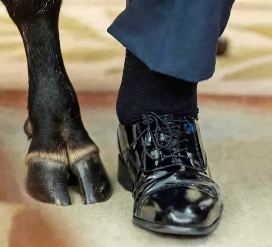 O Sacrificador tweet media