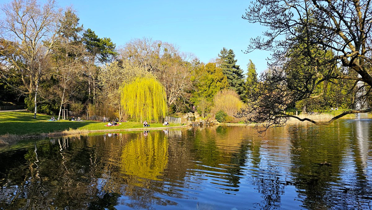 S. Lustig tweet media