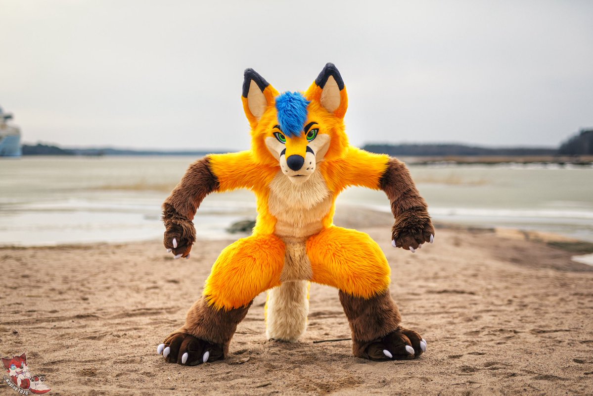 Electrix Fox tweet media