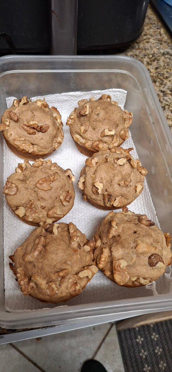 GingerSnapSirius⚓-2.0 Work Arc- tweet media