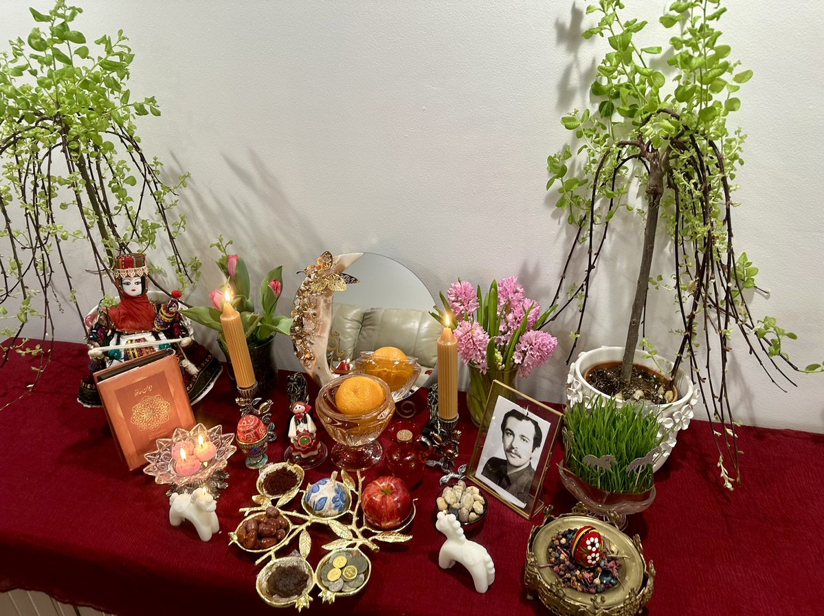 Banoo Saberi tweet media