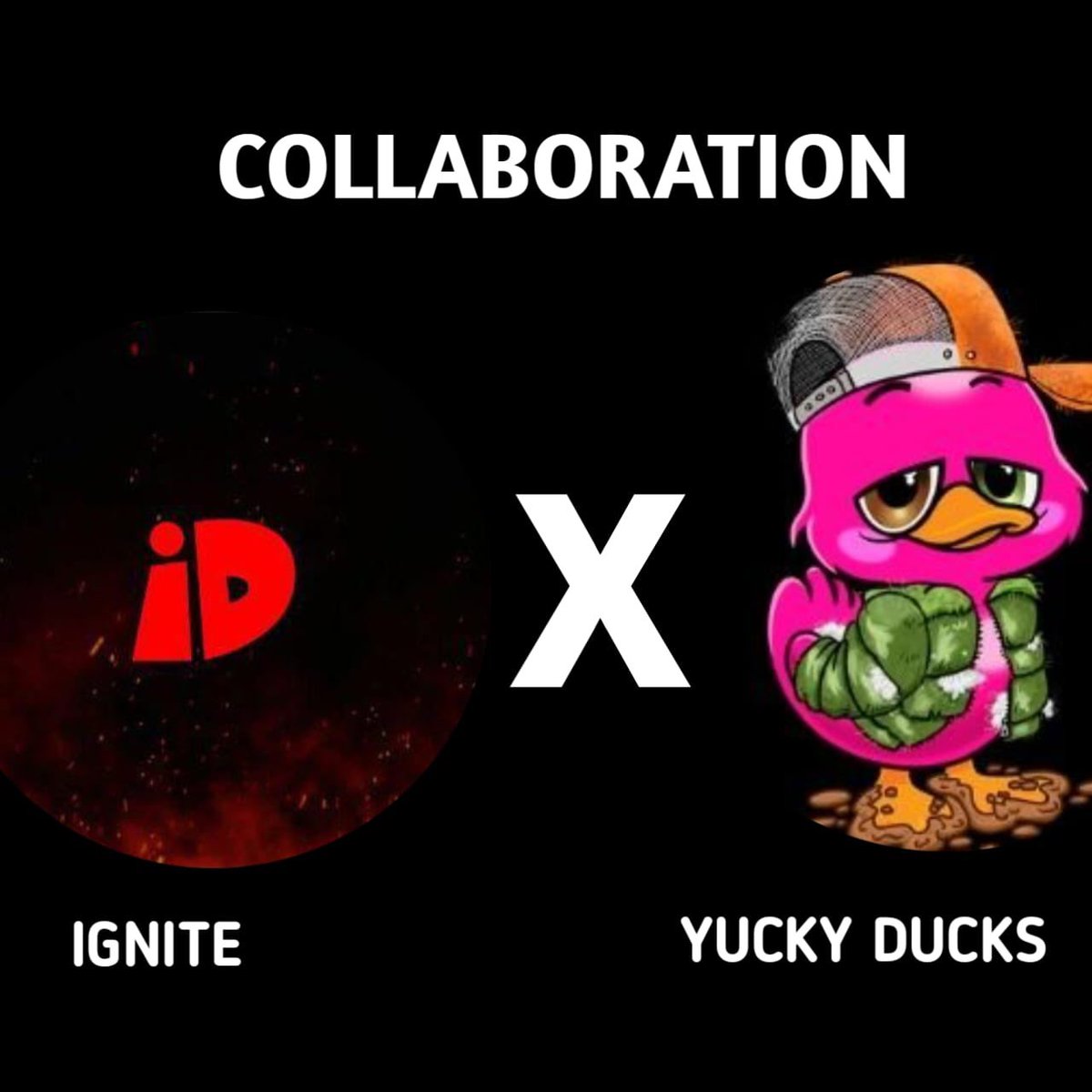 iGnite DAO☘️ tweet media