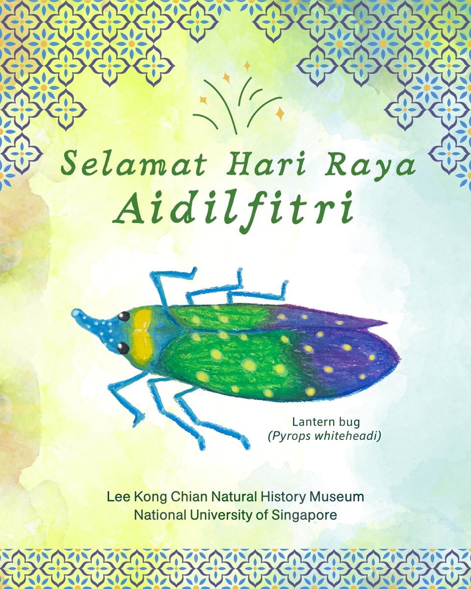 Lee Kong Chian Natural History Museum tweet media