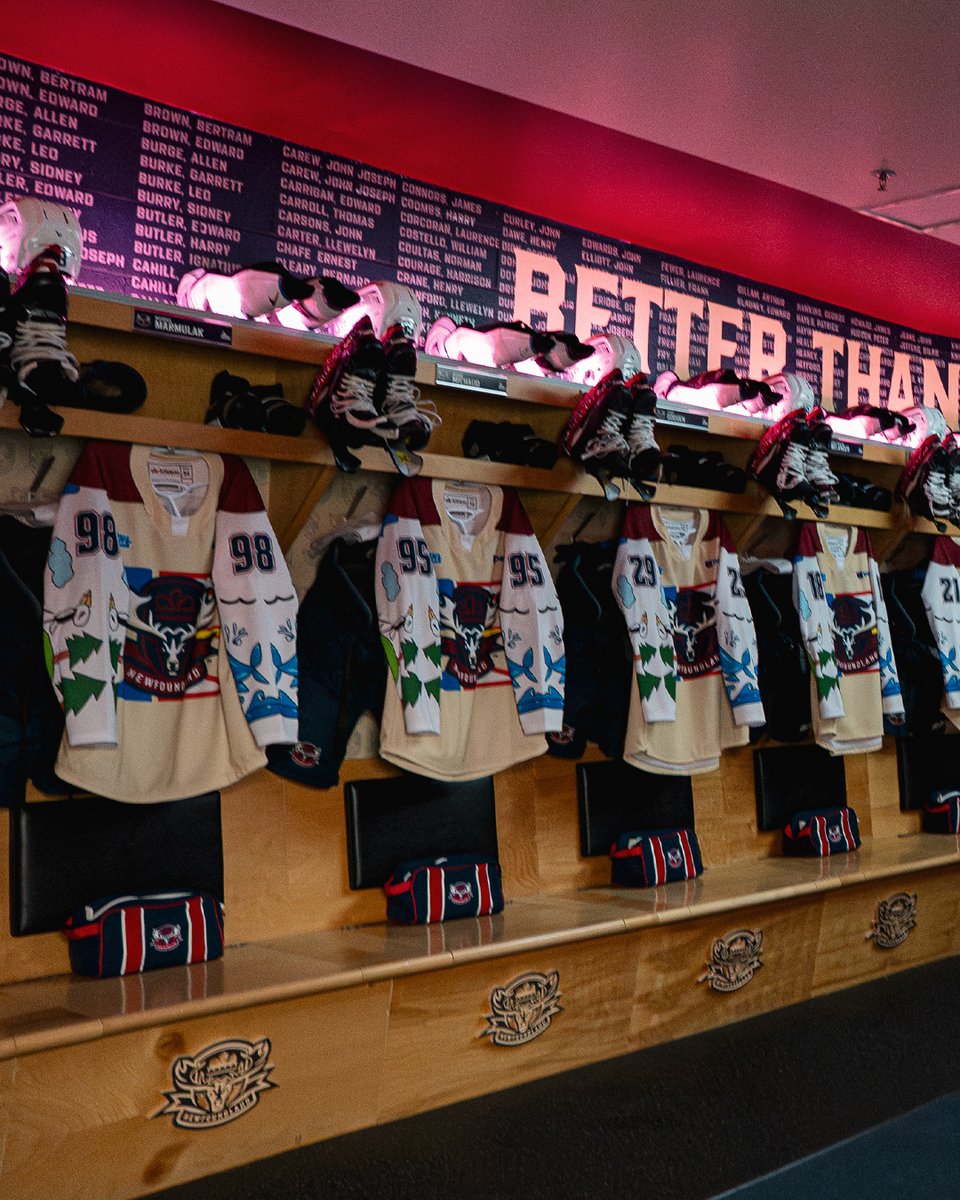 Newfoundland Regiment tweet media