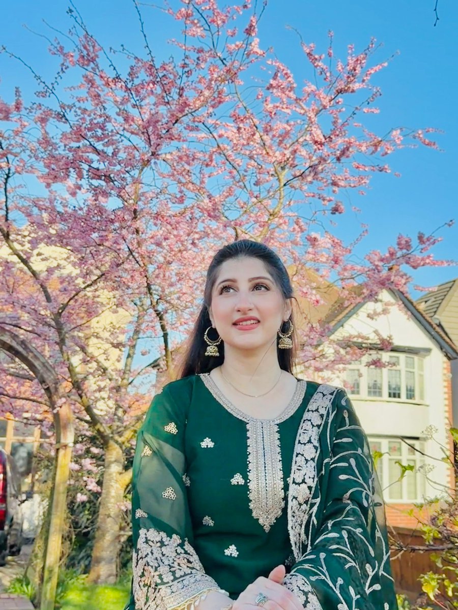 MediaSpring PK tweet media