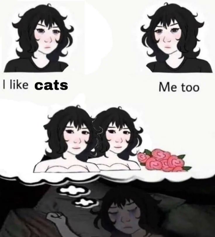 Gay Frog 🏳️⚧️ tweet media