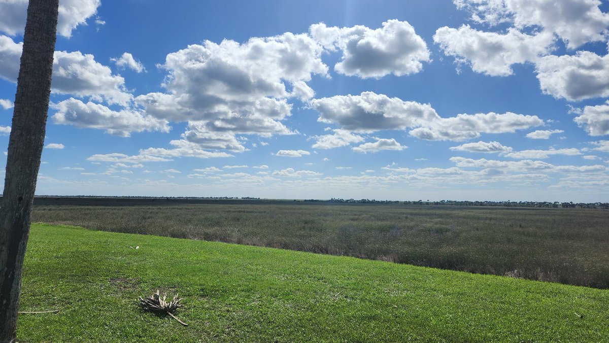 WeatherManSeek tweet media