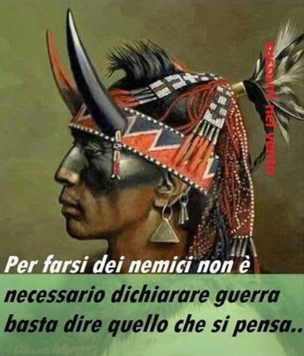 laura 🐝 tweet media