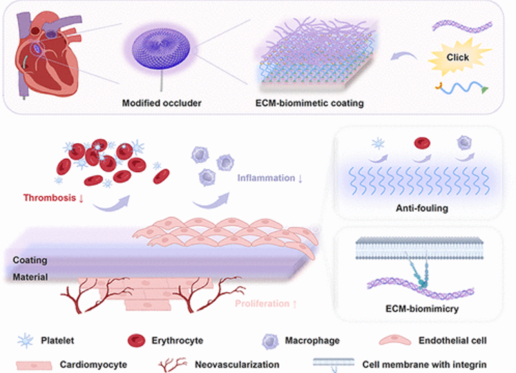 Extracellular Matrix News tweet media