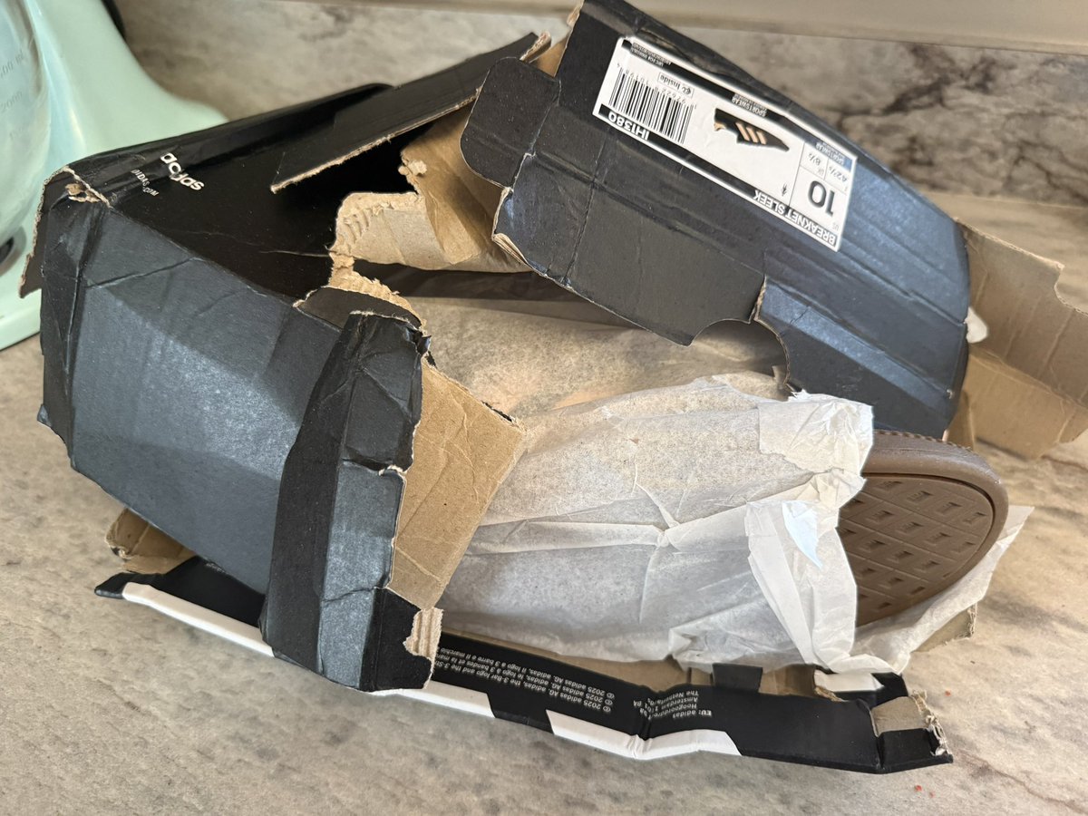 Mikala Writes Fantasy is ✨ querying ✨ tweet media