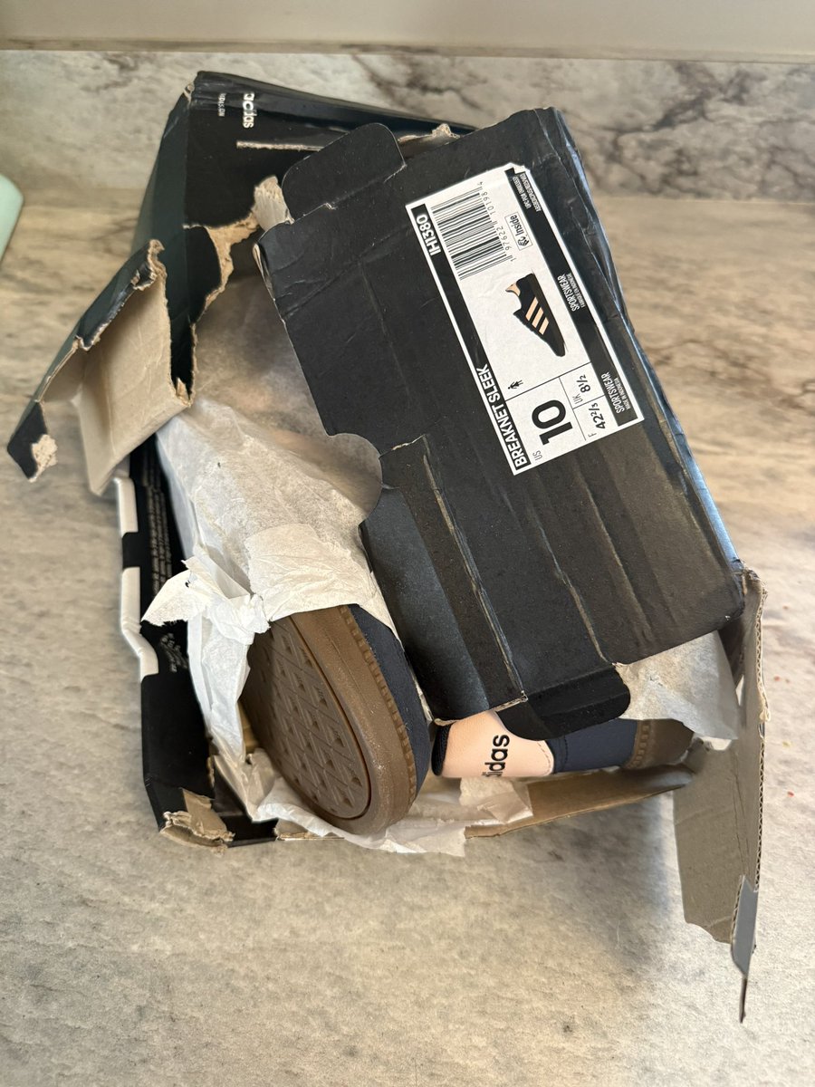 Mikala Writes Fantasy is ✨ querying ✨ tweet media