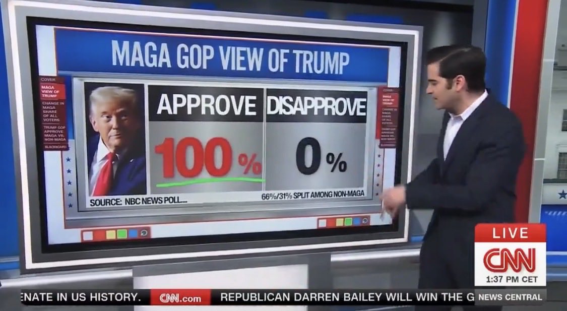 Harry Haller tweet media