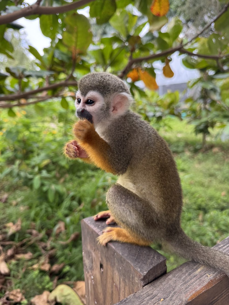 Chris 😏 tweet media