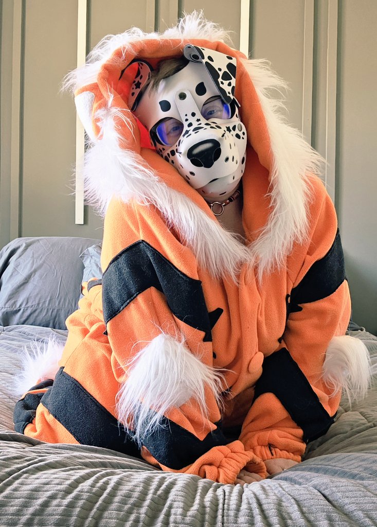 🐾🦴Kodi🦴🐾 tweet media