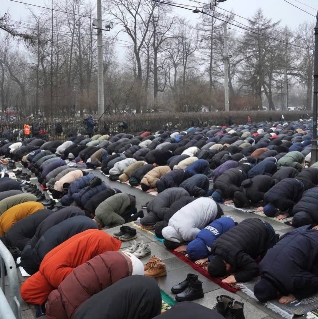 maga-lago tweet media