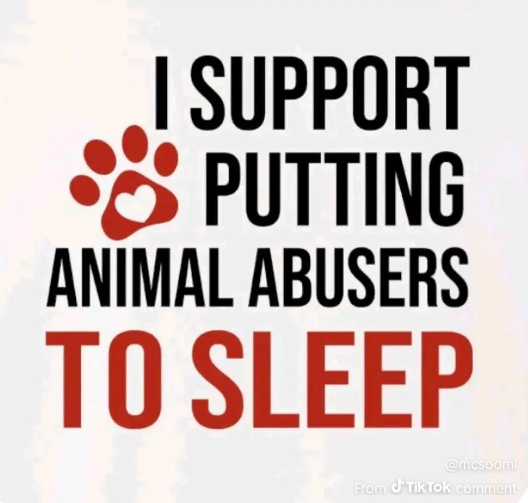 mars ᢉ𐭩 tweet media