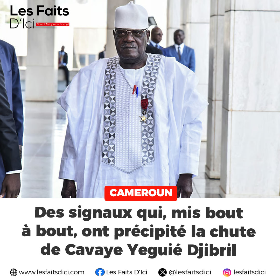 Les Faits D'Ici tweet media