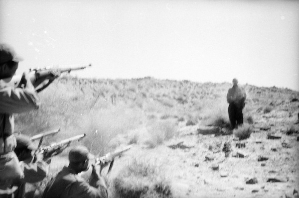 alba | アルバ tweet media