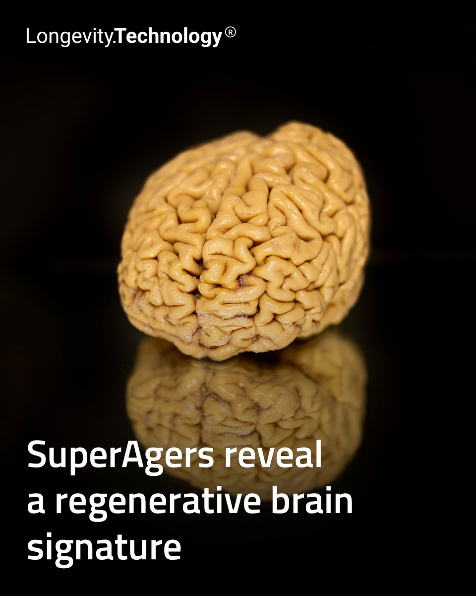 Longevity Technology tweet media