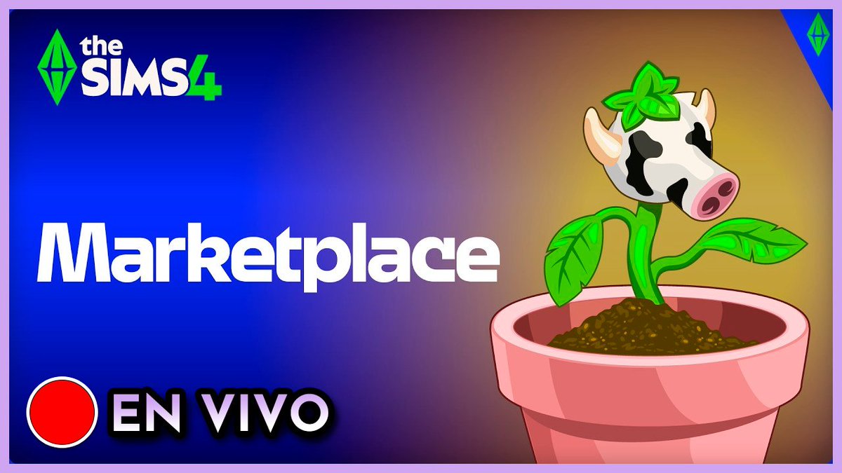 Marti 💜 tweet media