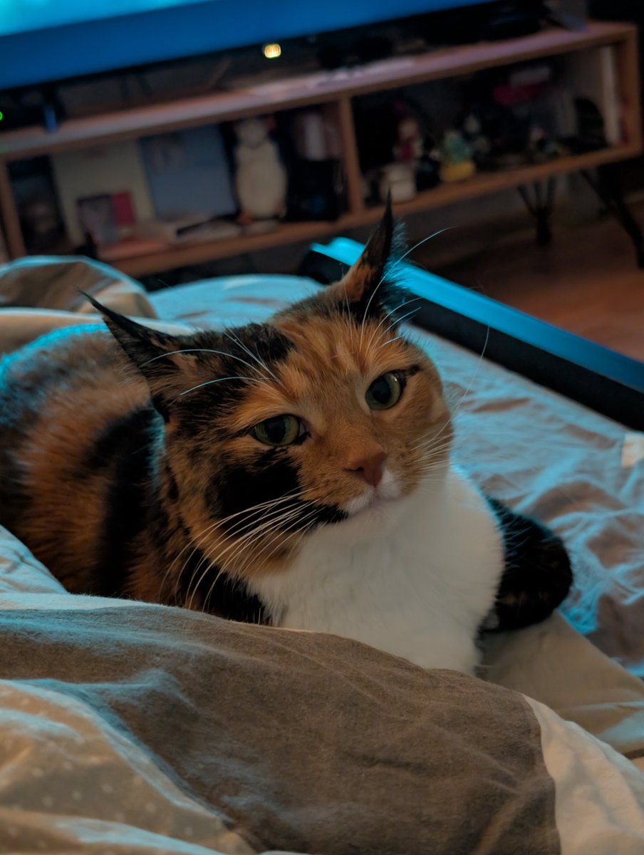 Спасибо 🫶💖😭 люблю её 

LET ENHYPEN CREATE  
#PROTECT_OUR_SEVEN 
#LET_ENHYPEN_CREATE