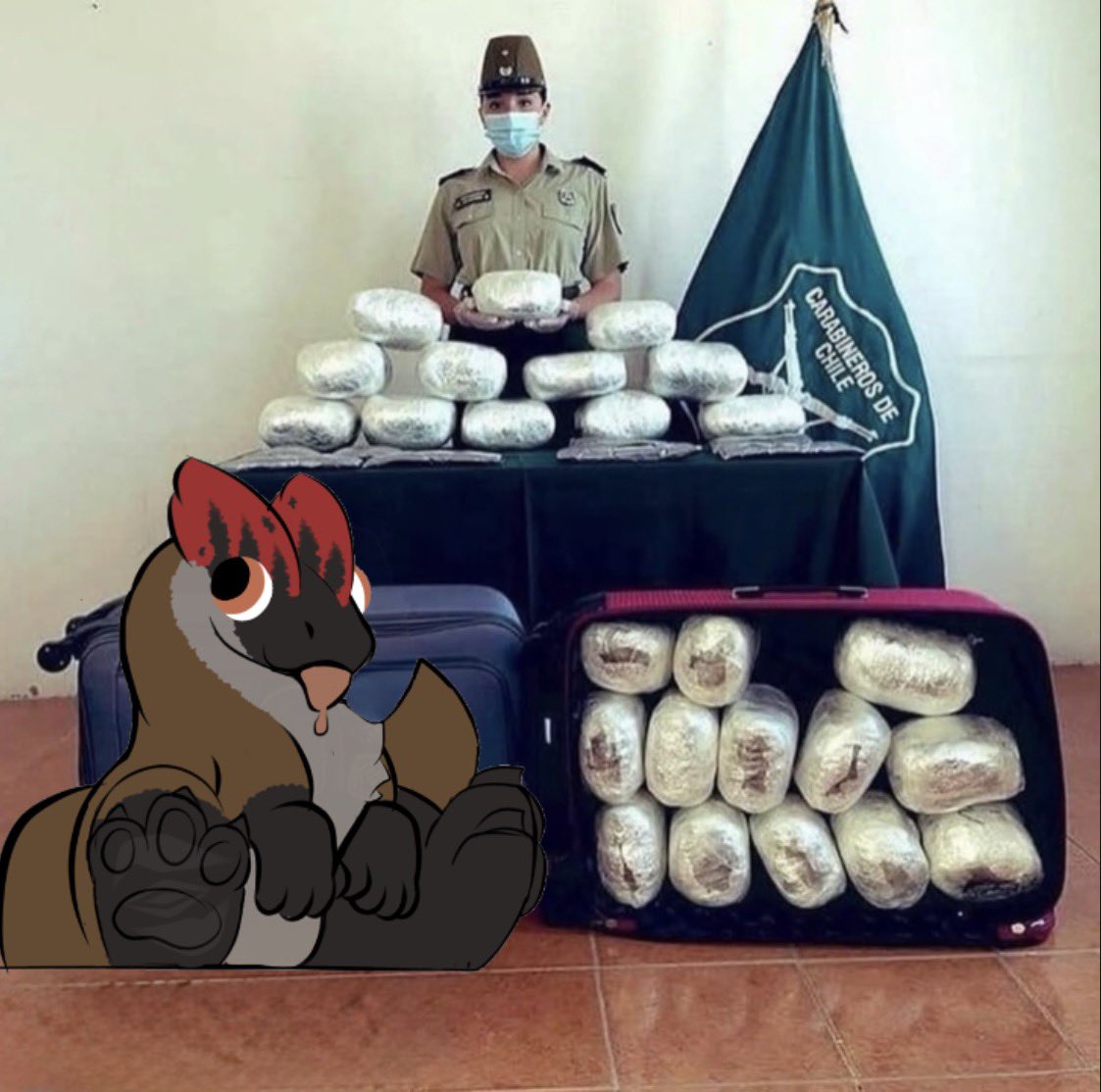 NovxKing 🦖ྀི tweet media