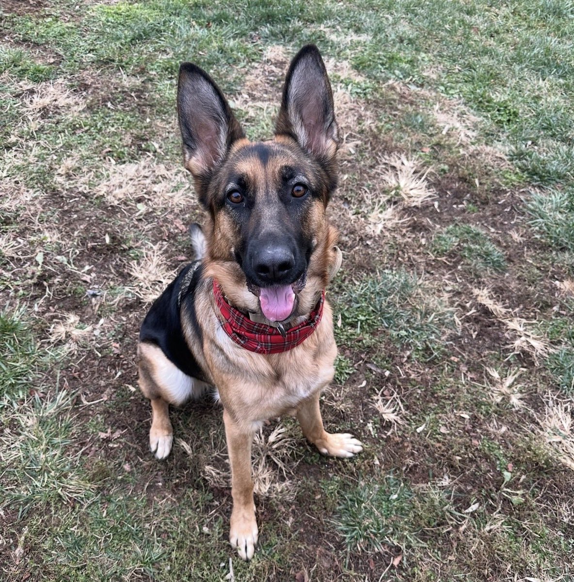 Luke Rudkowski tweet media