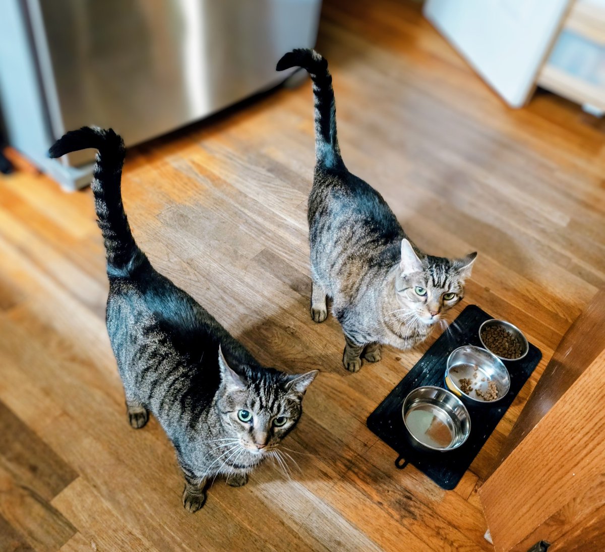 Radix Verum ☦︎ tweet media