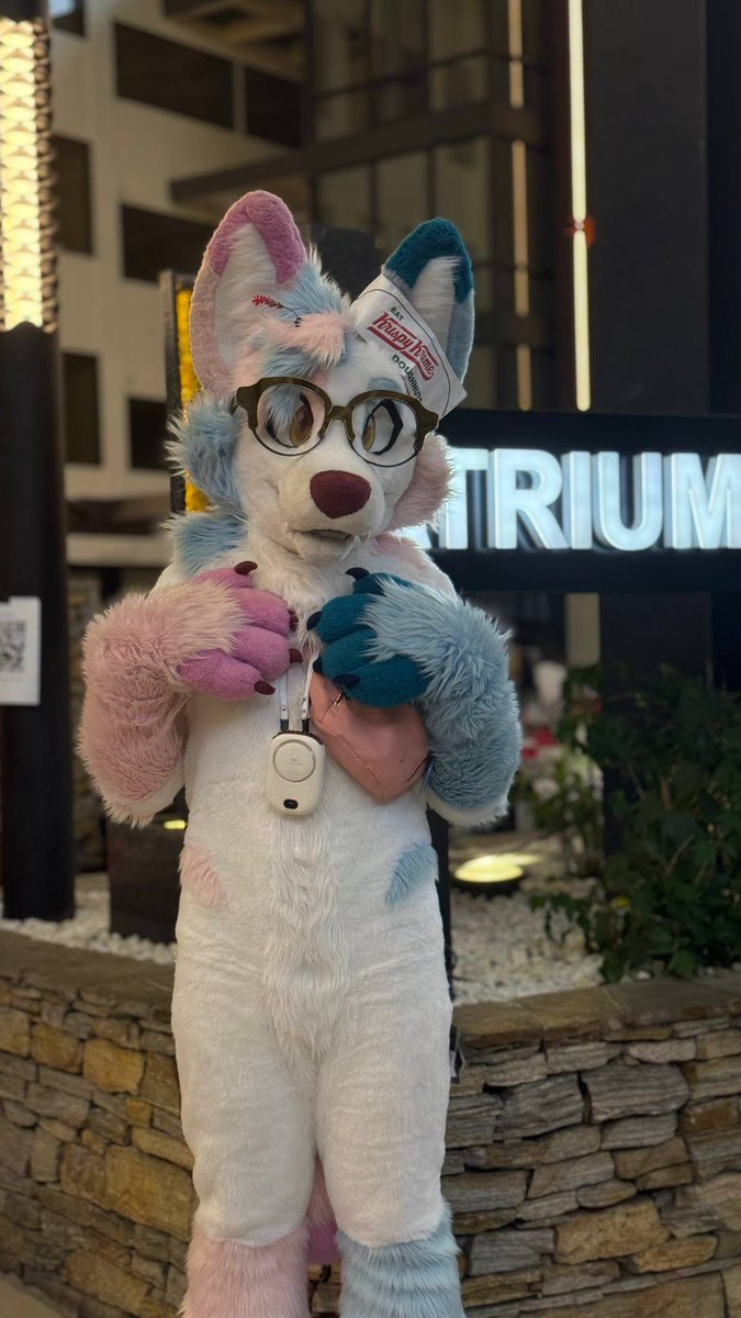 echo 🍭 🔜 tff tweet media