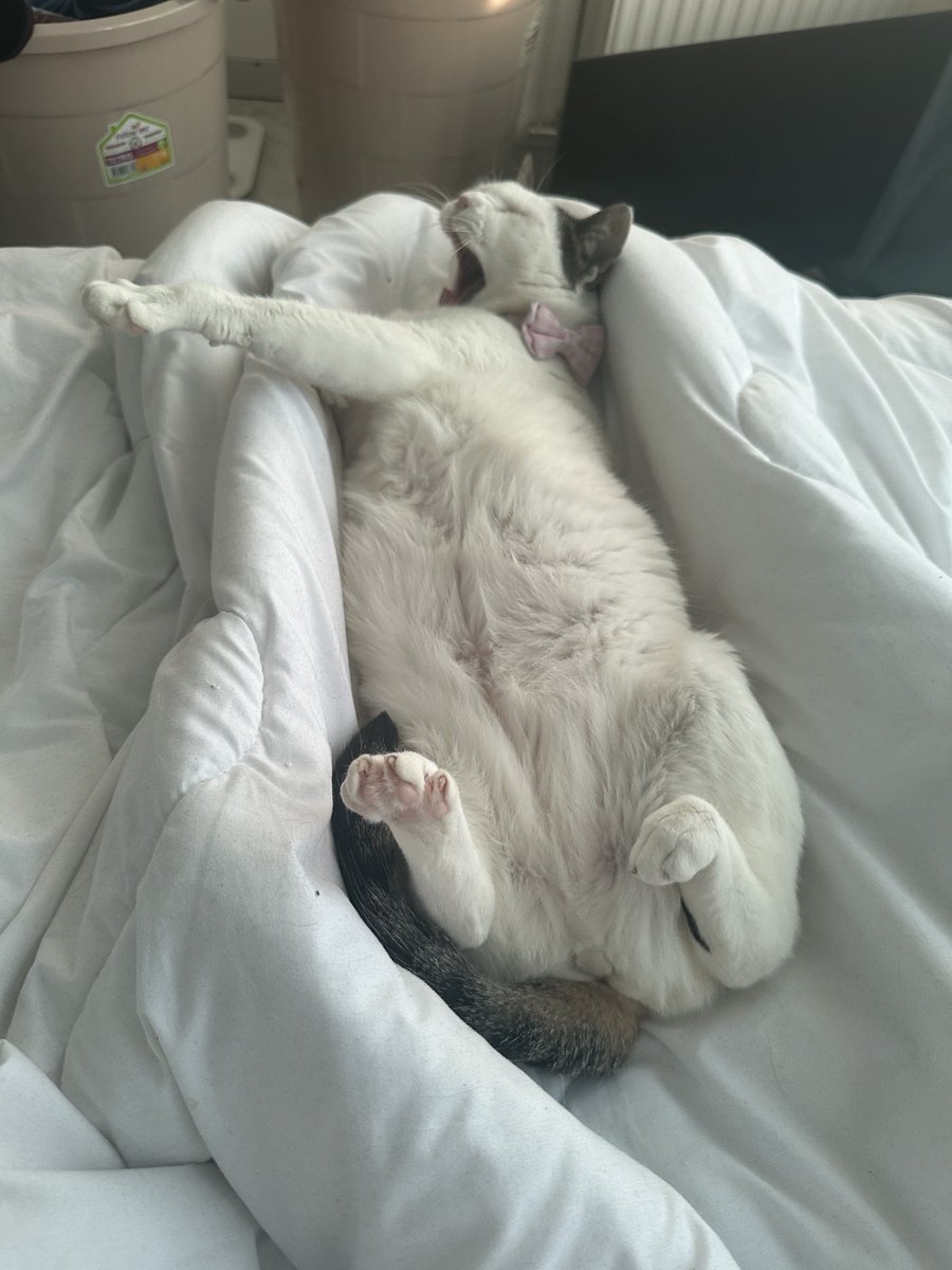 Sotiris Ntasios tweet media