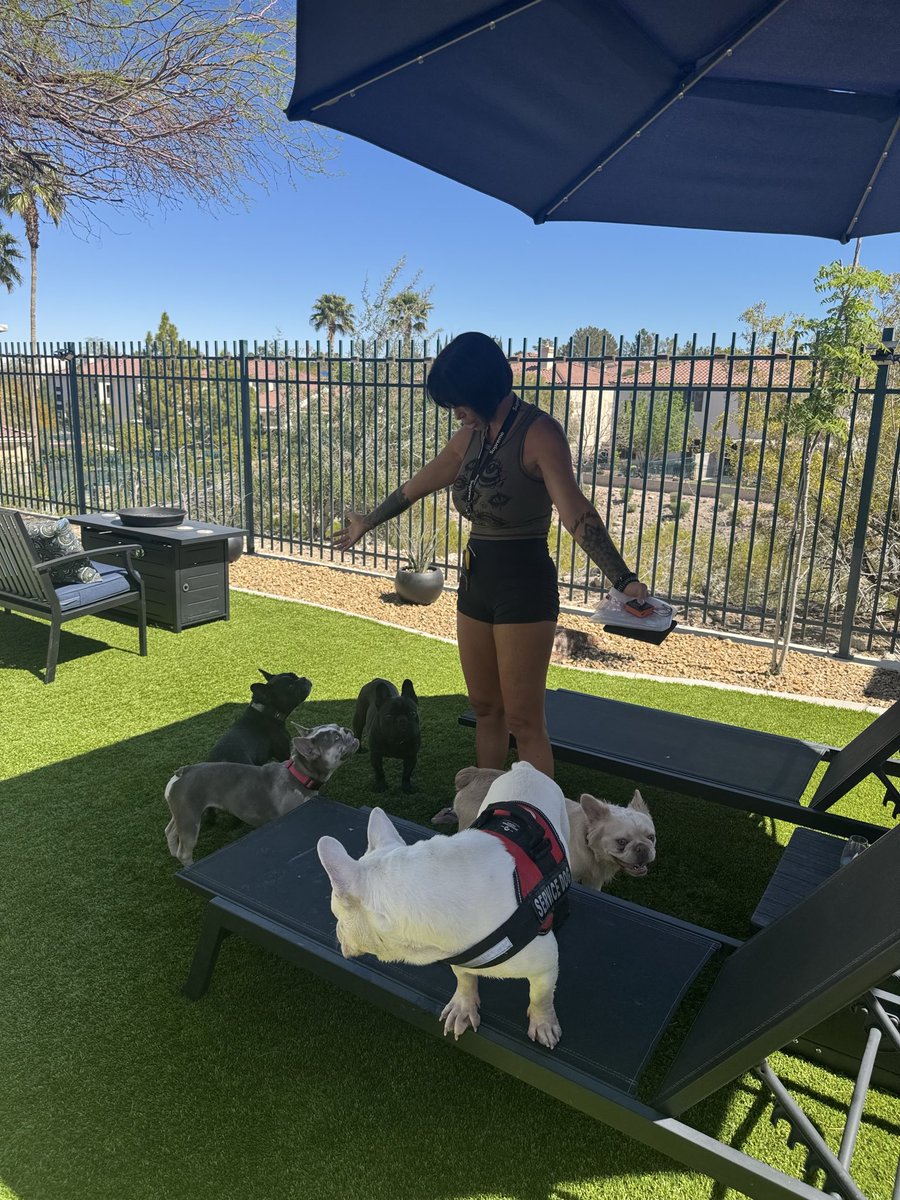 Shay Fox tweet media