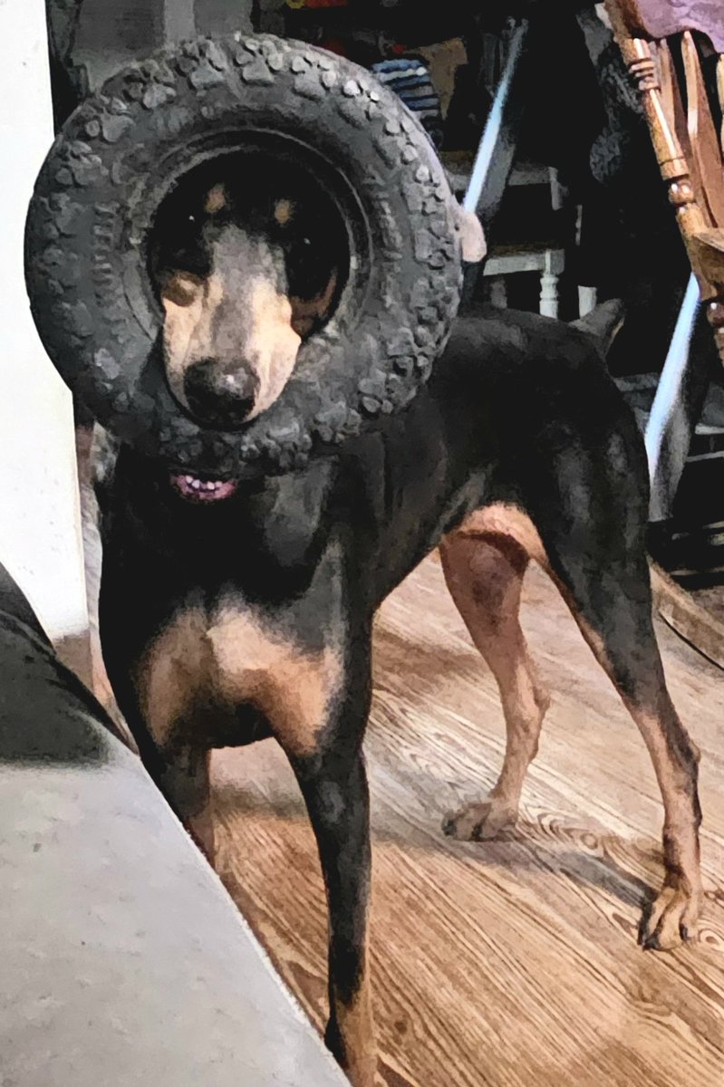 Mark Bobsin tweet media