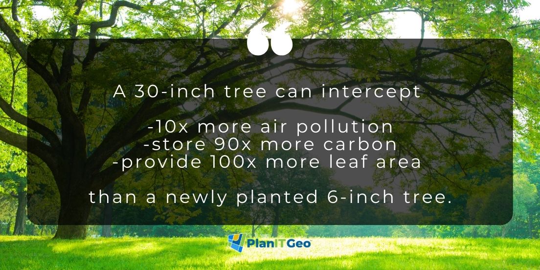 PlanIT Geo tweet media