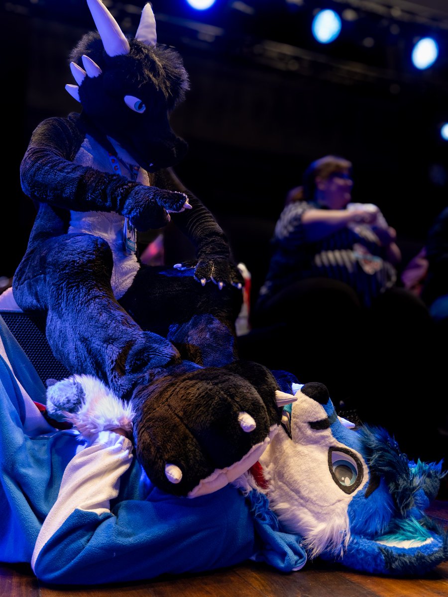 Chiko 🦊🐾 🔜 NFC tweet media