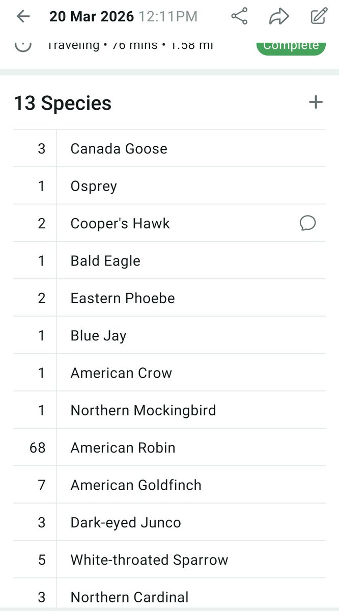 WEIRD DUCK SEASON ENJOYER 🦆 tweet media