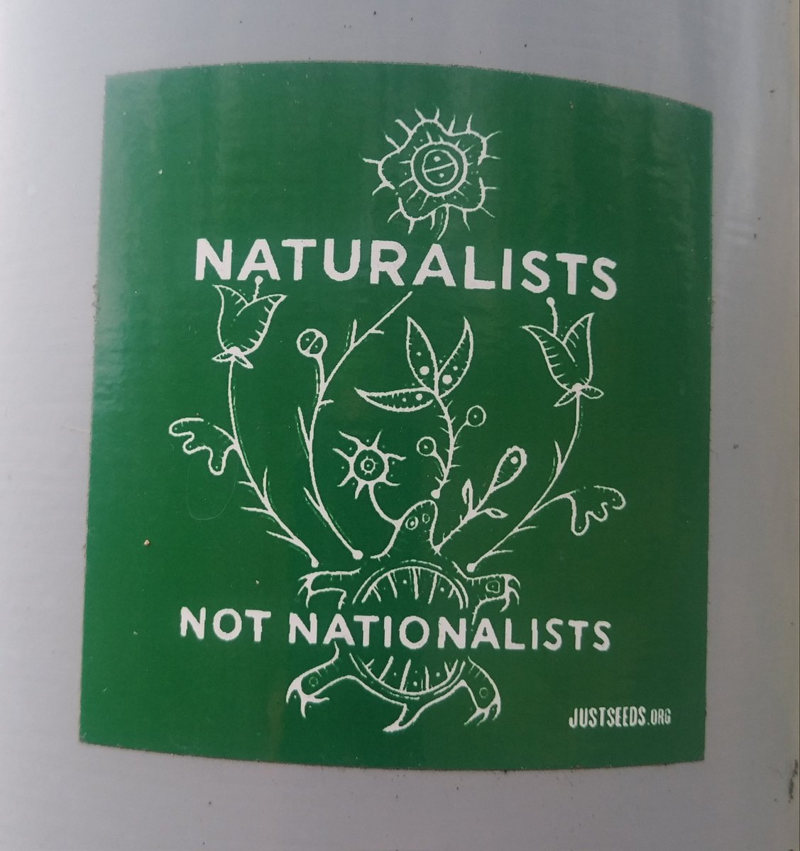 WEIRD DUCK SEASON ENJOYER 🦆 tweet media