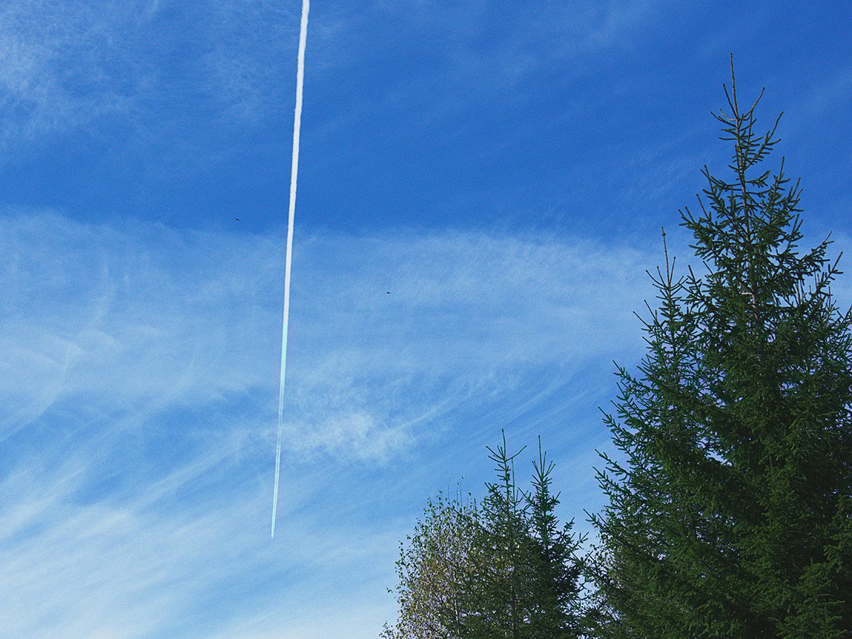 Gulf News tweet media