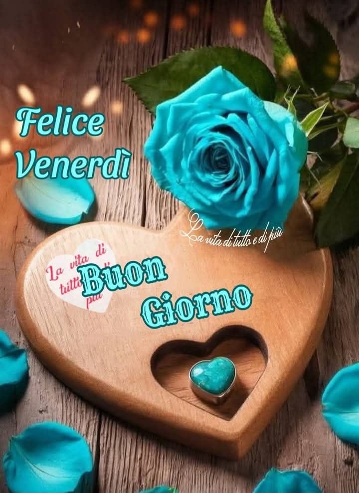 michael bachmann tweet media