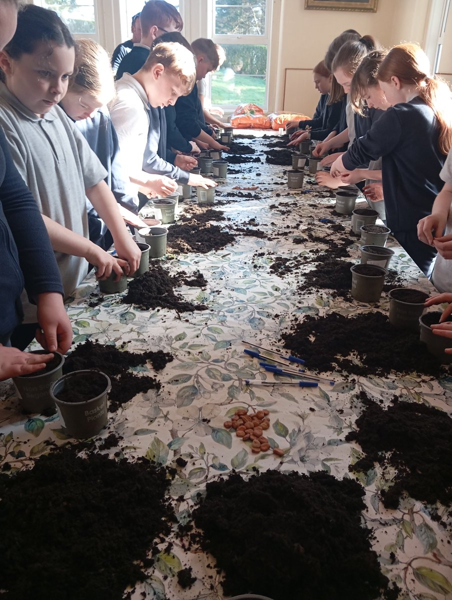 Kathleen Gallagher tweet media