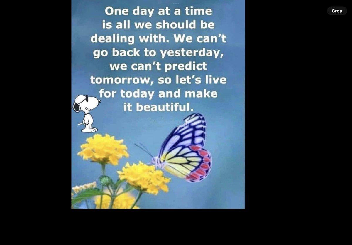 WiseUncleBuck tweet media