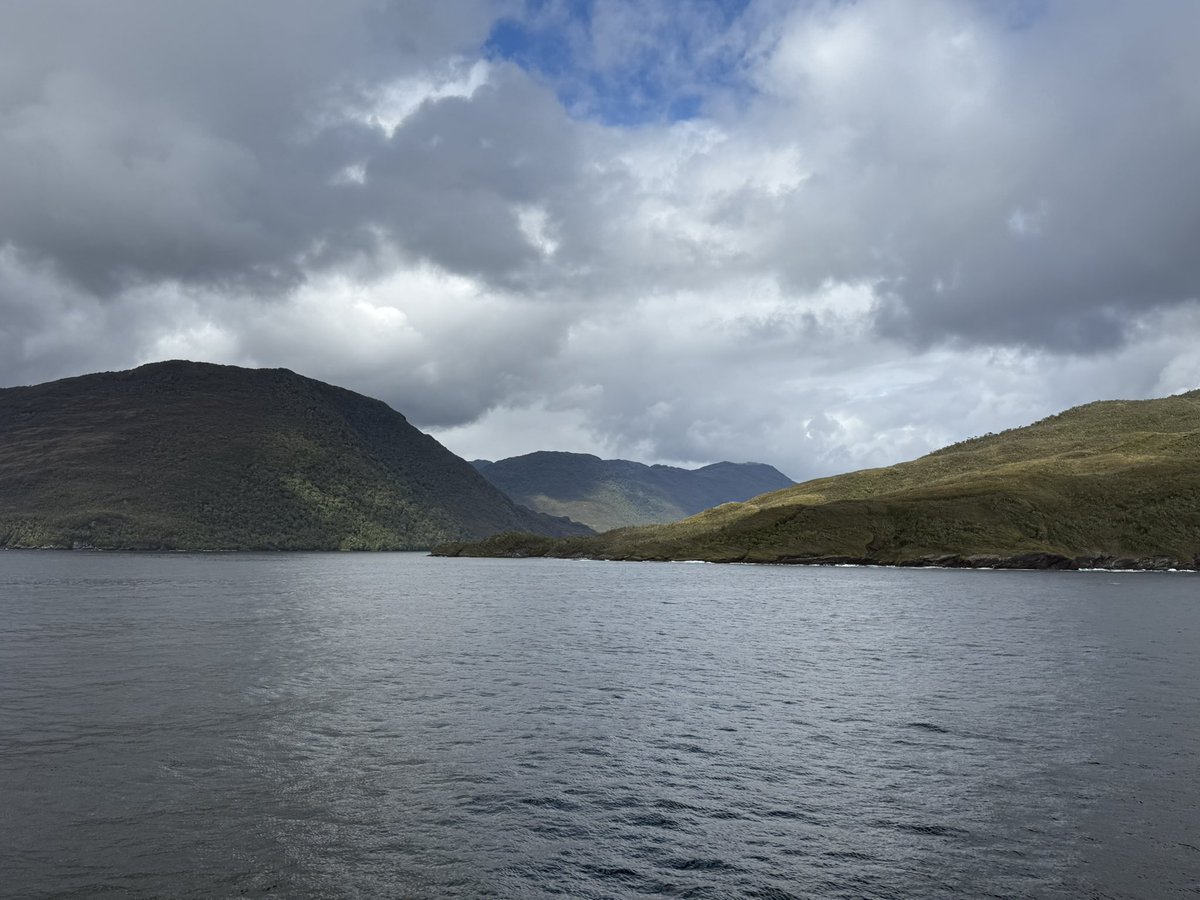 John Sowle tweet media