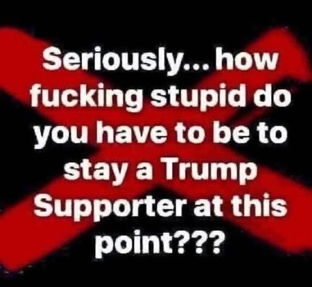 Mr MWP 🏳️‍🌈 🎙️🔍 tweet media