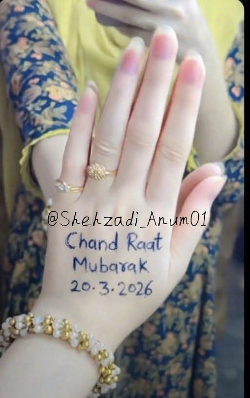 Shehzadi Anum tweet media