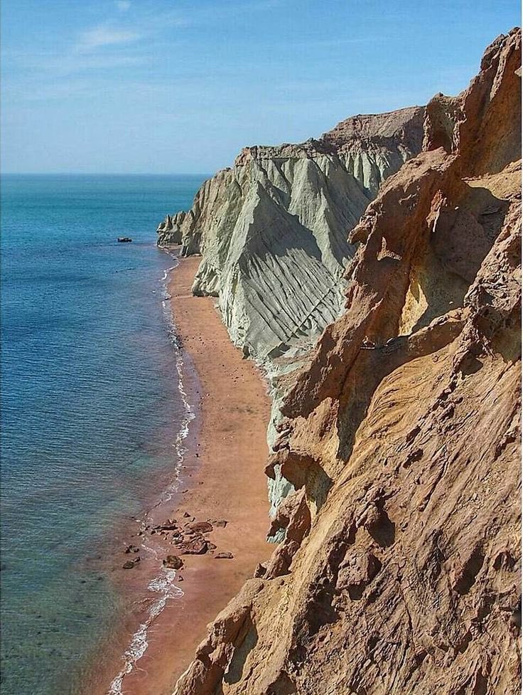 Michael R. Schleifer tweet media