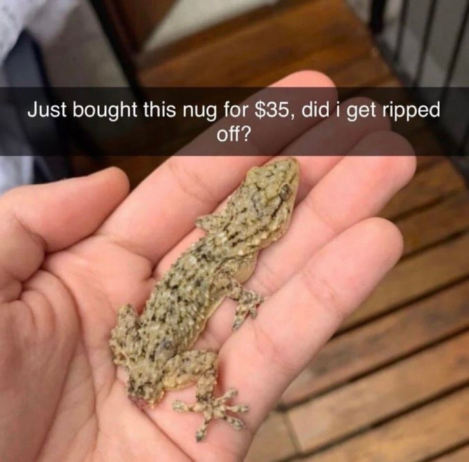 Weed Porn tweet media