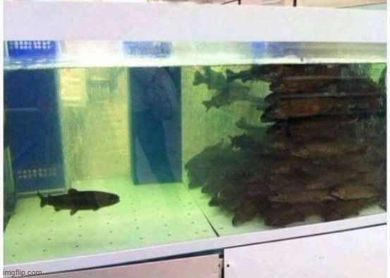 ♡ Luna ♡ tweet media