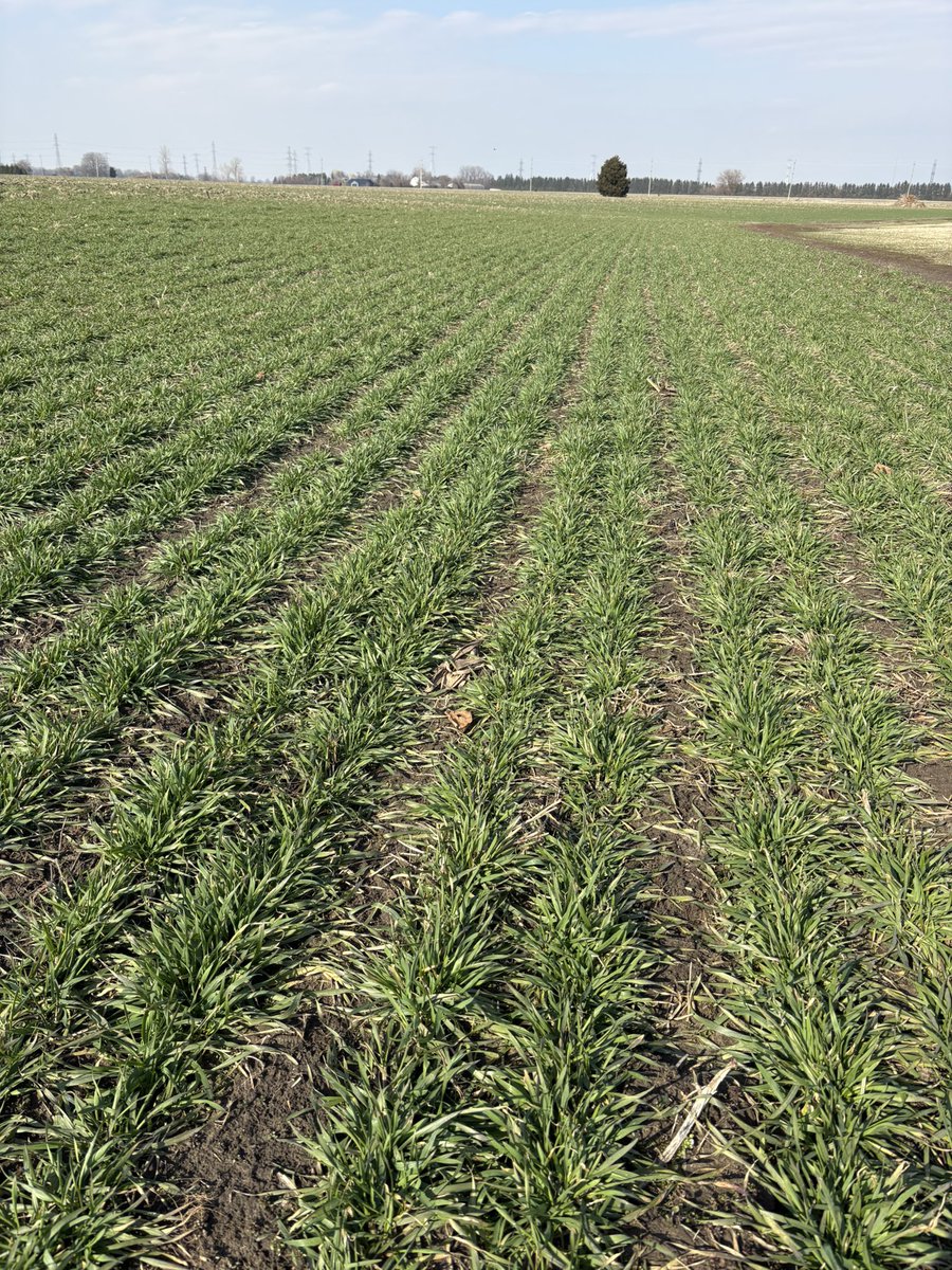 Dan Foster tweet media