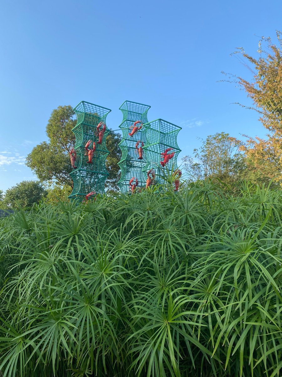 michael  alonso tweet media